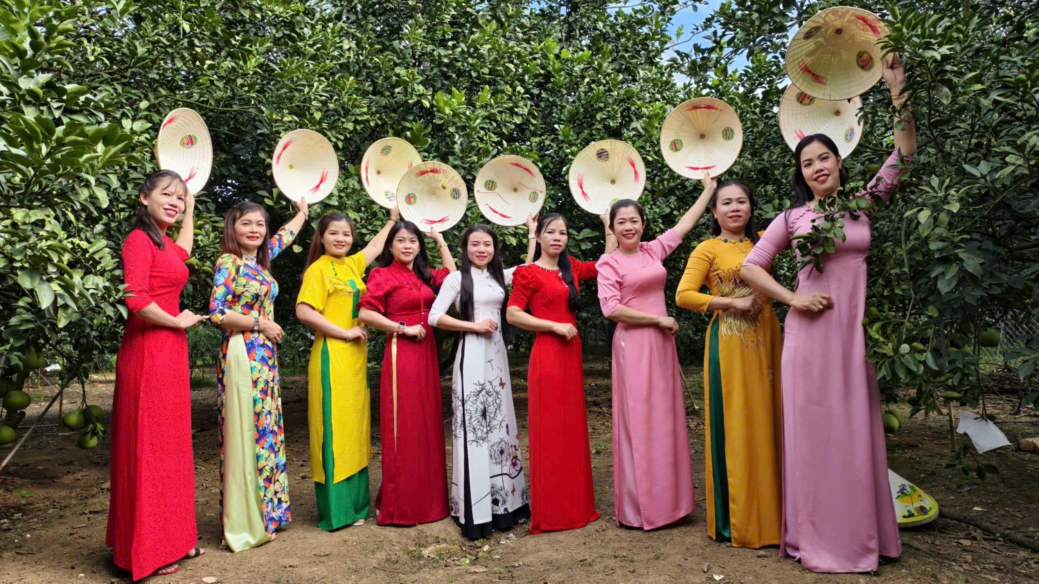 Hương Bưởi Tân Triều